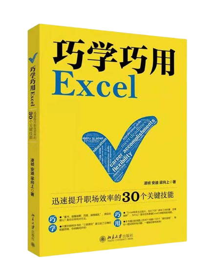 《巧学巧用excel：迅速提升职场效率的关键技能》